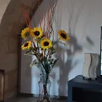 펜션 Il Quinto Arco 마테라